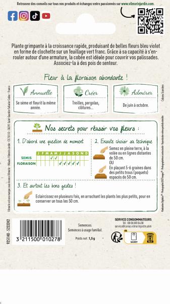 Fleurs - Cobée Grimpante - MEDIA_PACKAGING_VERSO